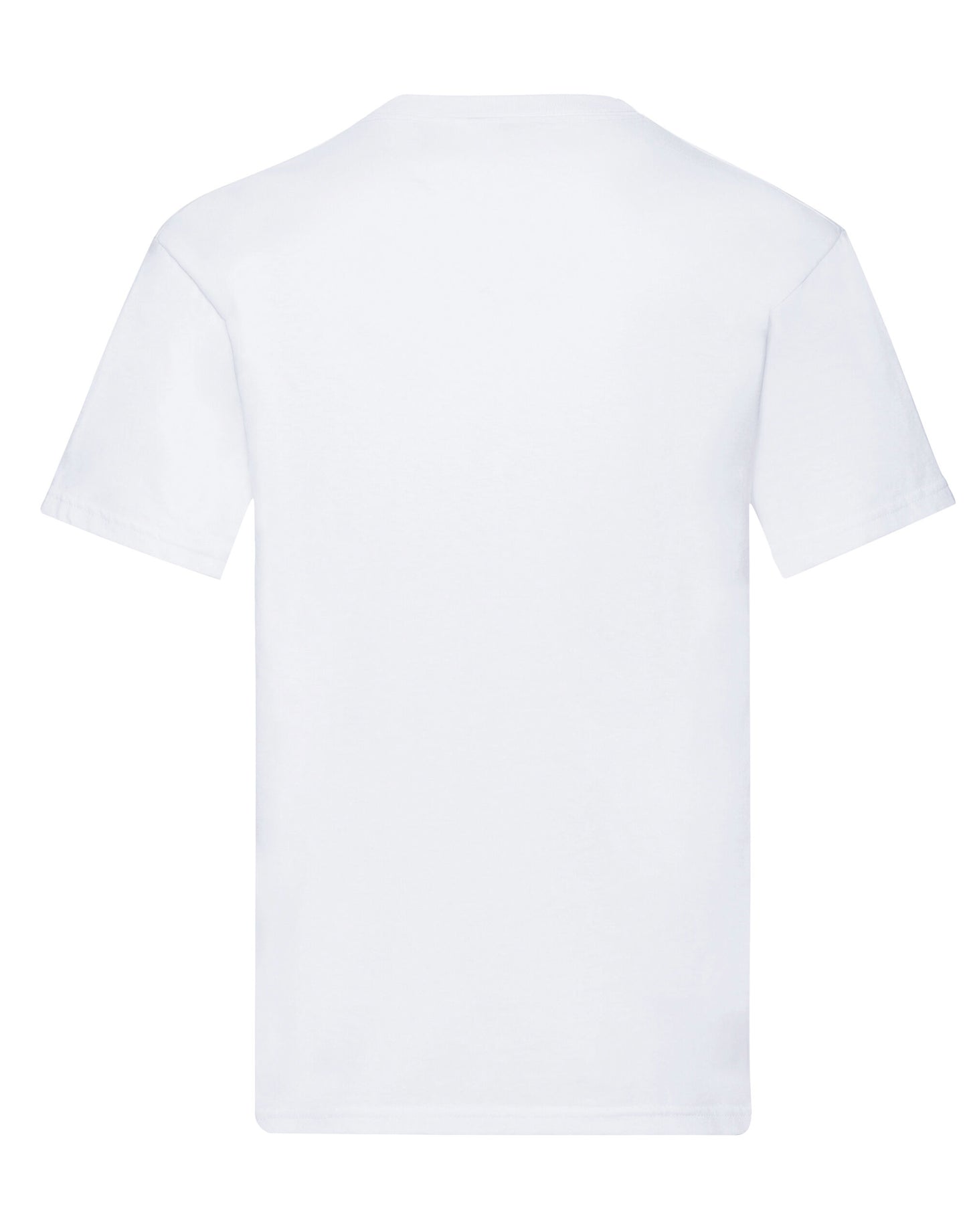 61426 FOTL Mens Original V Neck T