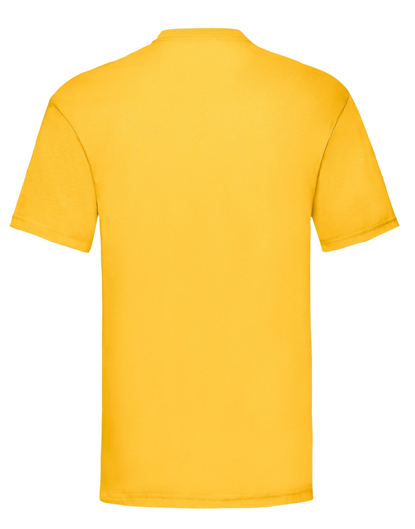 61036 FOTL Mens Valueweight T