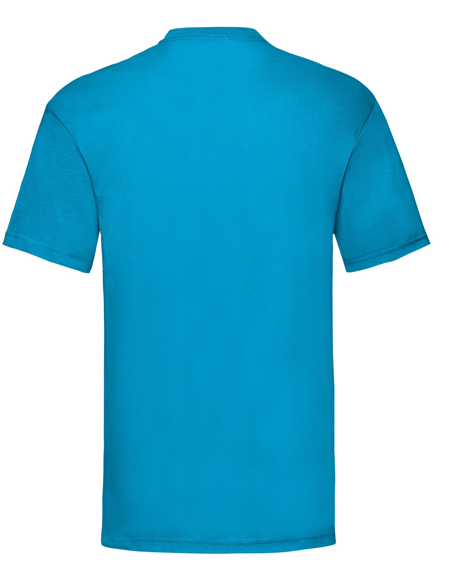 61036 FOTL Mens Valueweight T