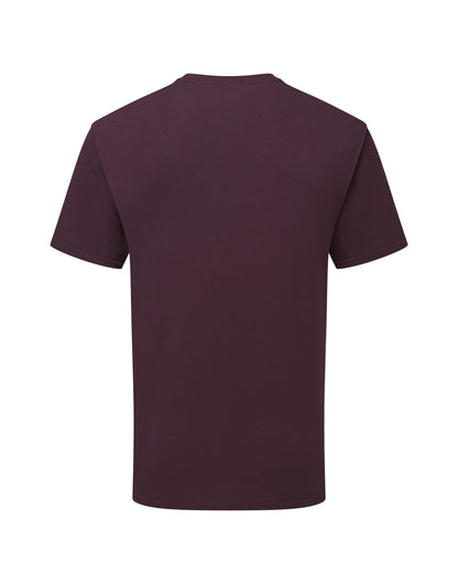 61362 FOTL Pure Cotton T