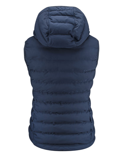 HAR2121046 James Harvest Woodlake H Ladies Vest