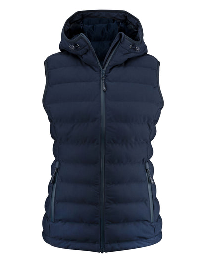 HAR2121046 James Harvest Woodlake H Ladies Vest