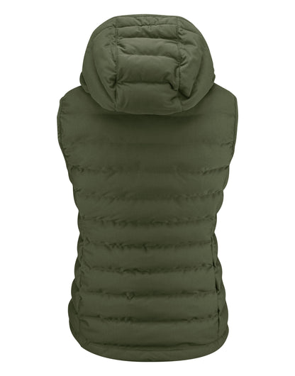 HAR2121046 James Harvest Woodlake H Ladies Vest