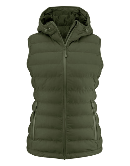 HAR2121046 James Harvest Woodlake H Ladies Vest